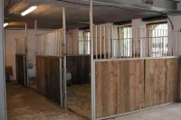Freie Pferdeboxen im Stall